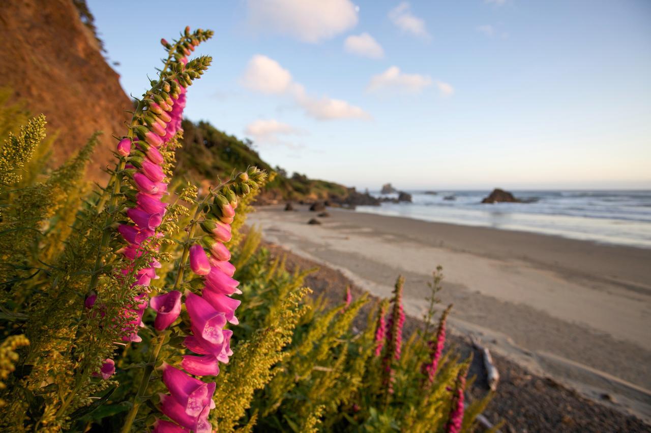 Inn At Cannon Beach Buitenkant foto